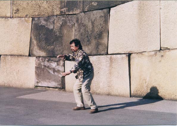 Website. Japan. Tai chi.